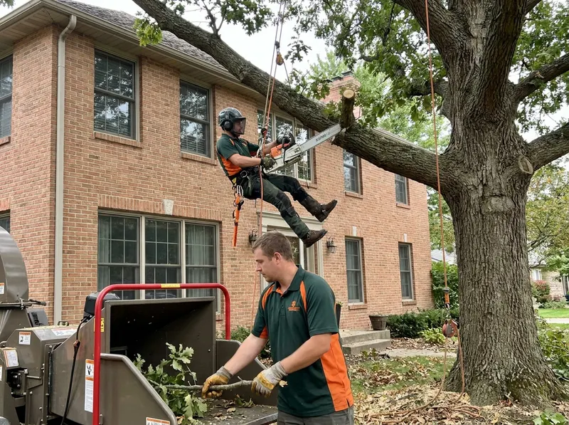 Commercial Tree Service in Mount Pleasant, WI